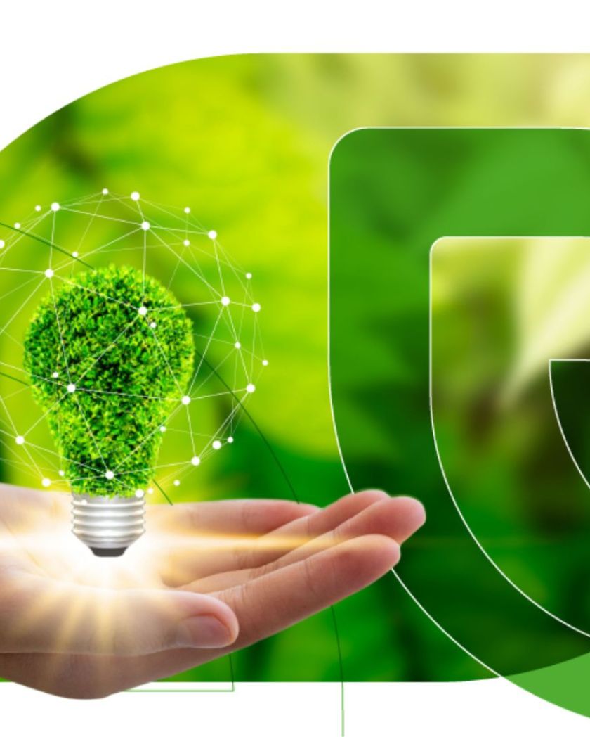 eco startup