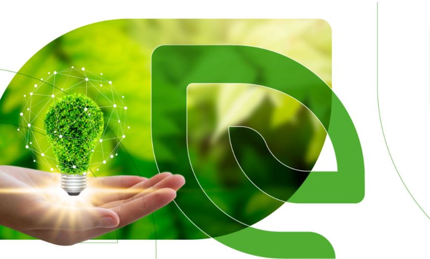 eco startup